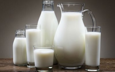 Scientific Review Finds Biological Link Between Dairy Consumption and Obesity
